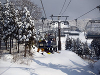 スキーシャム勝山でカメラをかついで登る
